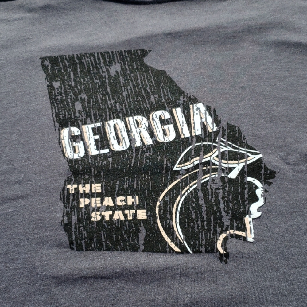 🚨3/$25 . 🆕️ Georgia The peach state shirt - Picture 2 of 2